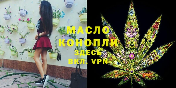 сатива Кулебаки