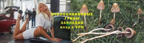 сатива Кулебаки