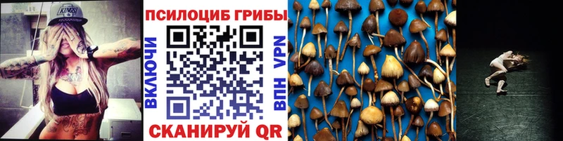 Псилоцибиновые грибы Cubensis Куйбышев