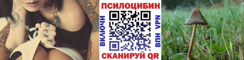 закладка  мега как зайти  Галлюциногенные грибы Psilocybe  Куйбышев 