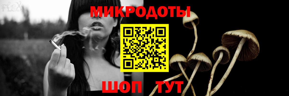 Куйбышев  Галлюциногенные грибы прущие грибы  где купить наркотик  Галлюциногенные грибы мухоморы  Вход с VPN 